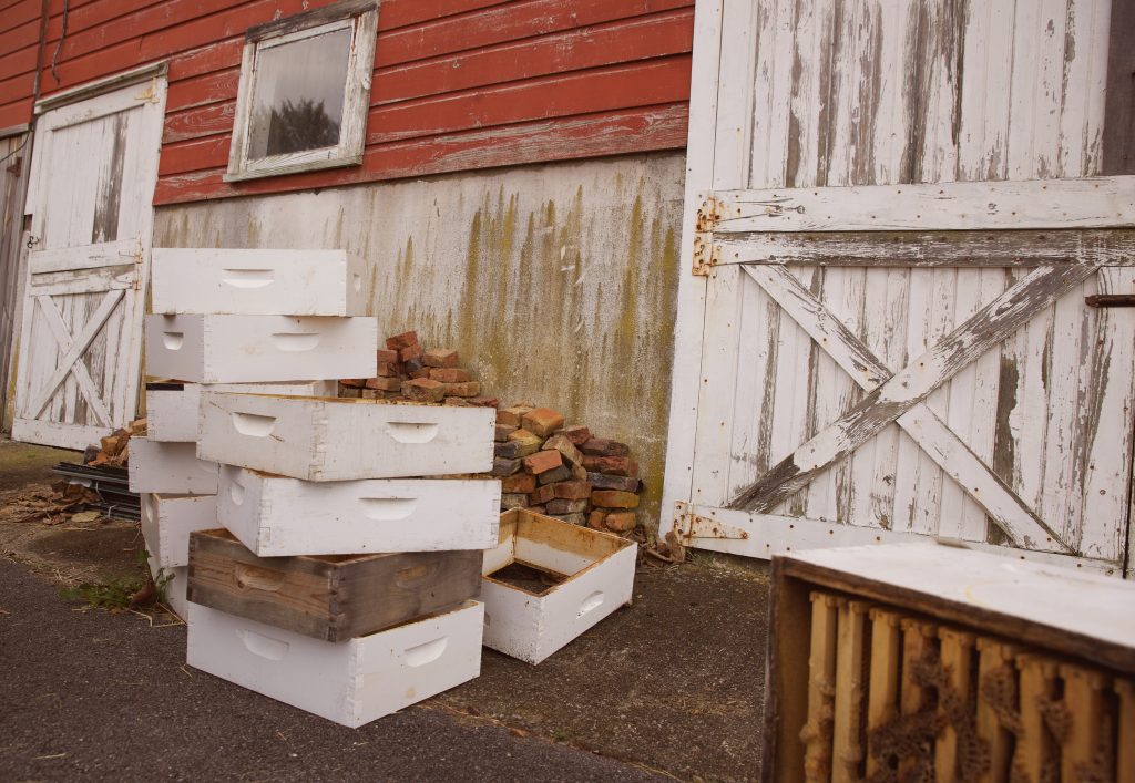 Sunset Christmas Tree Farm Fresh Christmas Trees