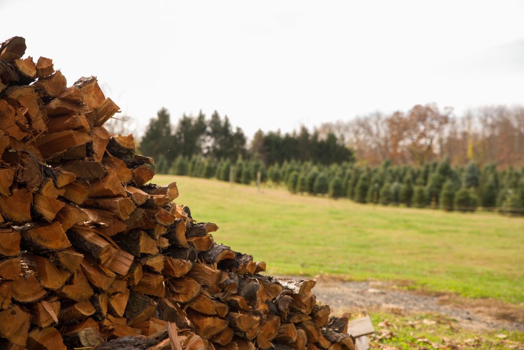 Sunset Christmas Tree Farm Fresh Christmas Trees