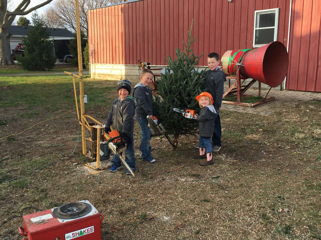 Sunset Christmas Tree Farm Fresh Christmas Trees