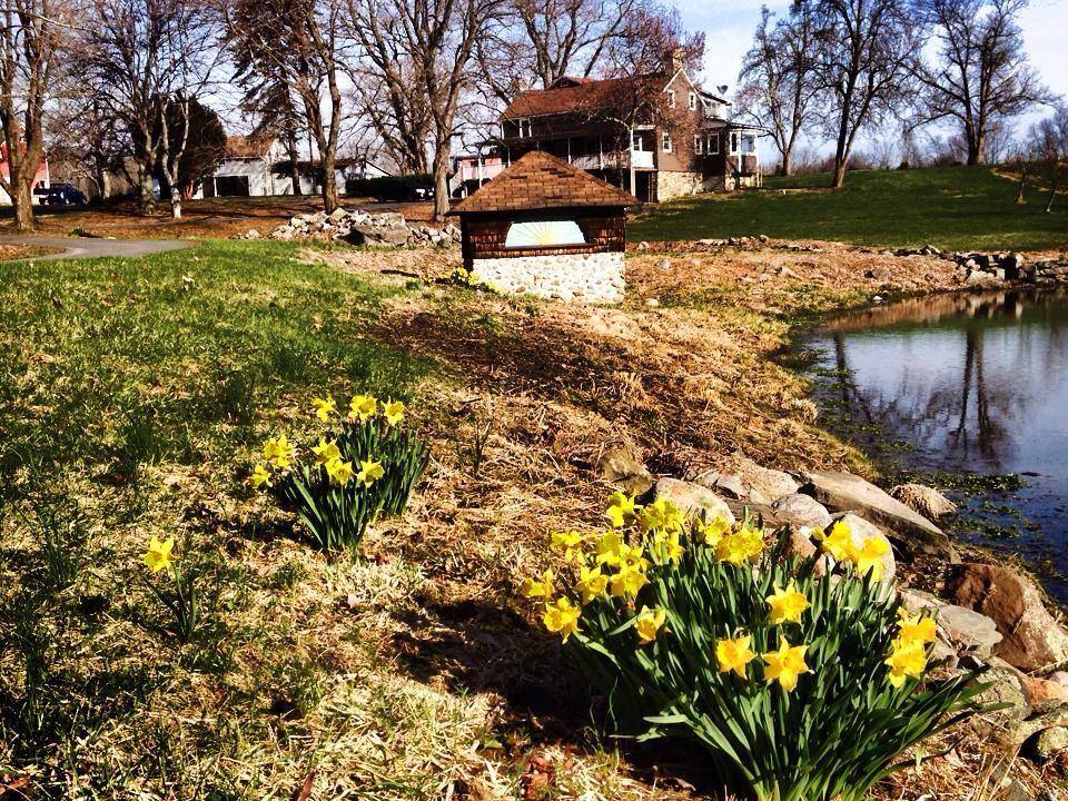 Sunset Christmas Tree Farm Fresh Christmas Trees