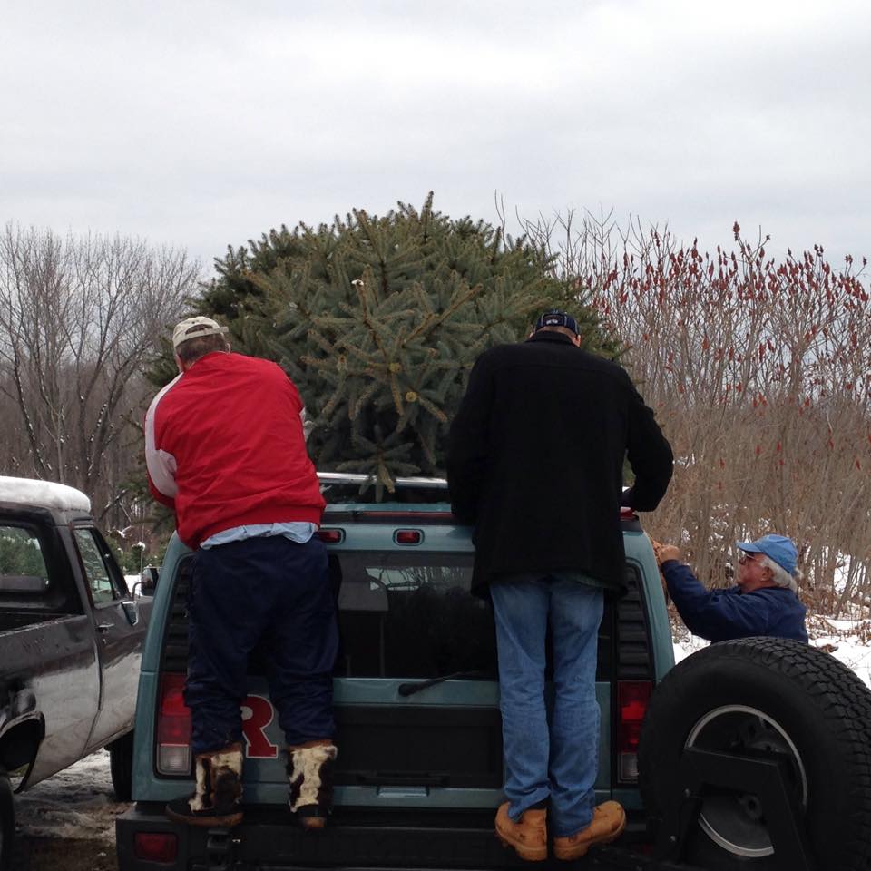 Sunset Christmas Tree Farm Fresh Christmas Trees