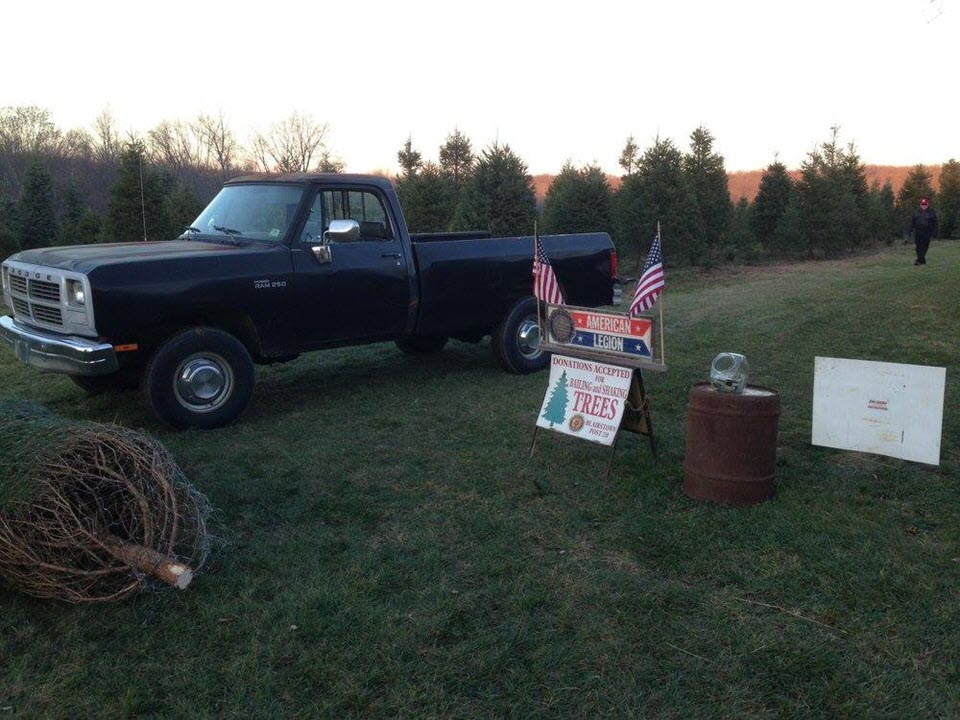 Sunset Christmas Tree Farm Fresh Christmas Trees