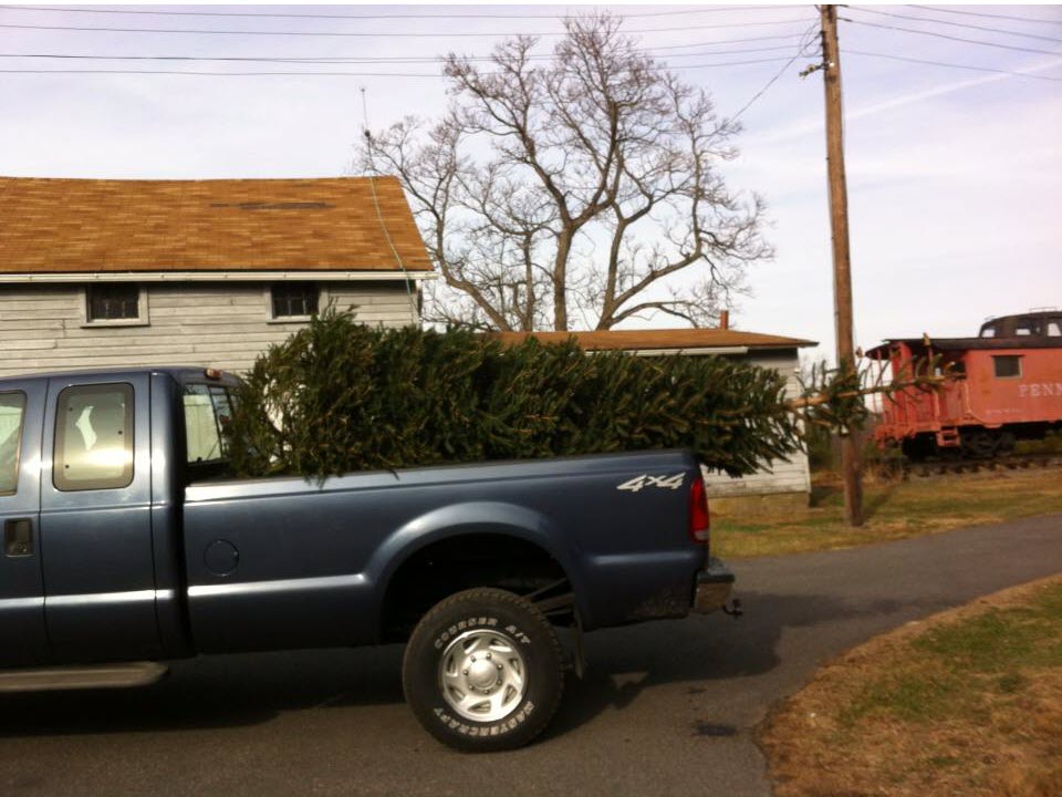 Sunset Christmas Tree Farm Fresh Christmas Trees